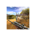 Hunting Clash Hunter Games