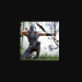 Ninja’s Creed:3D Shooting Game