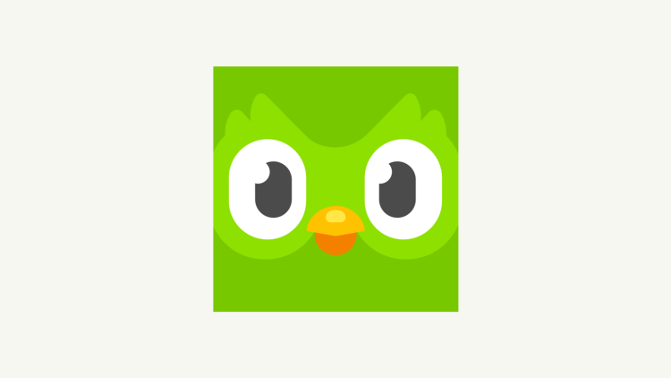 Duolingo language lessons