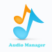Audio Manager