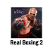 Real Boxing 2