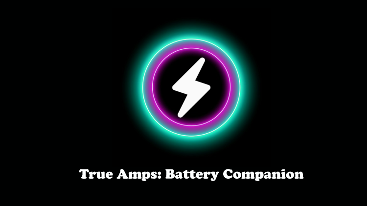 True Amps Battery Companion