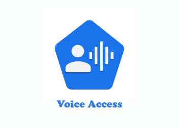 Voice Access