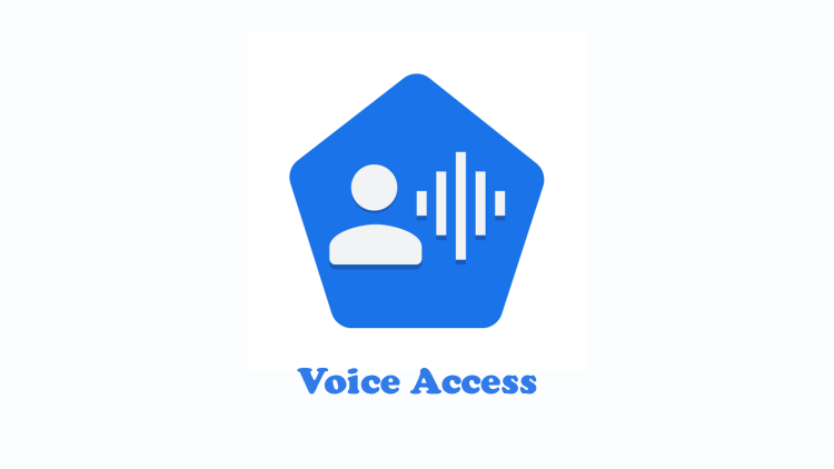 Voice Access