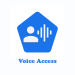 Voice Access