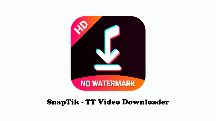 SnapTik TT Video Downloader