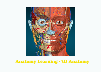 Anatomy Learning – 3D Anatomy