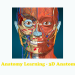 Anatomy Learning – 3D Anatomy