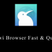 Kiwi Browser – Fast & Quiet