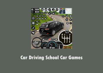 Car Driving School