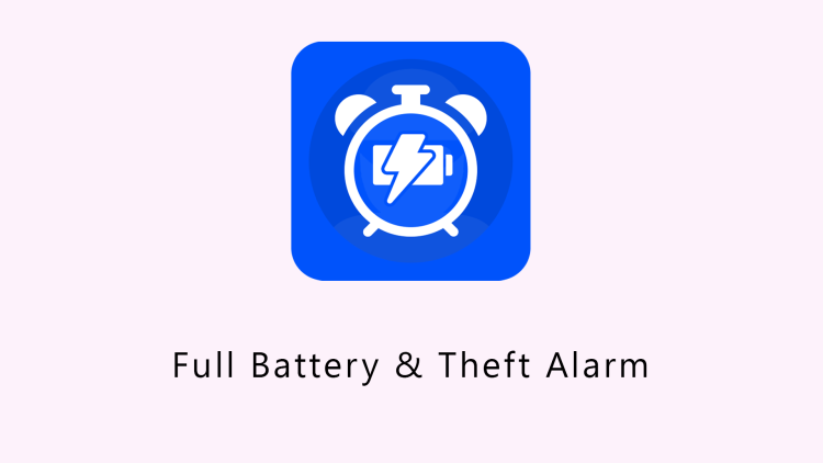 Full Battery & Theft Alarm