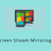 Screen Stream Mirroring
