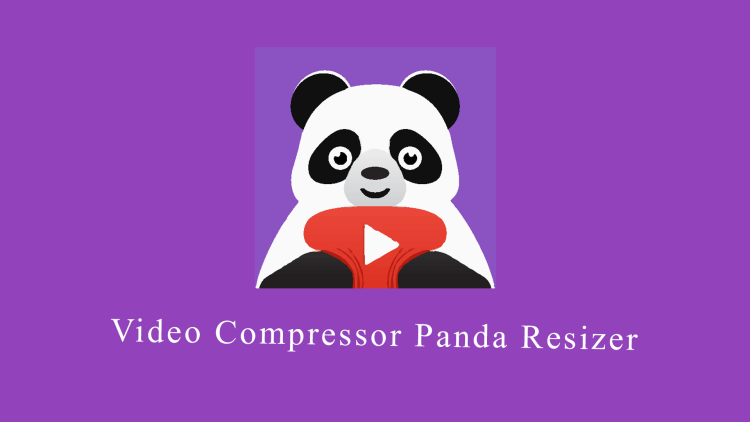 Video Compressor Panda Resizer