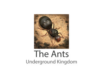 The Ants Underground Kingdom