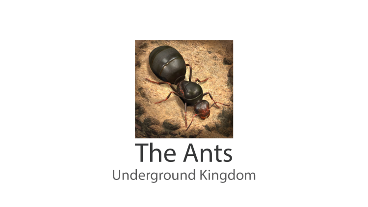 The Ants Underground Kingdom