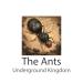 The Ants Underground Kingdom