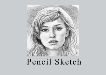 Pencil Sketch