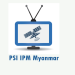 PSI IPM Myanmar