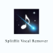 SplitHit Vocal Remover