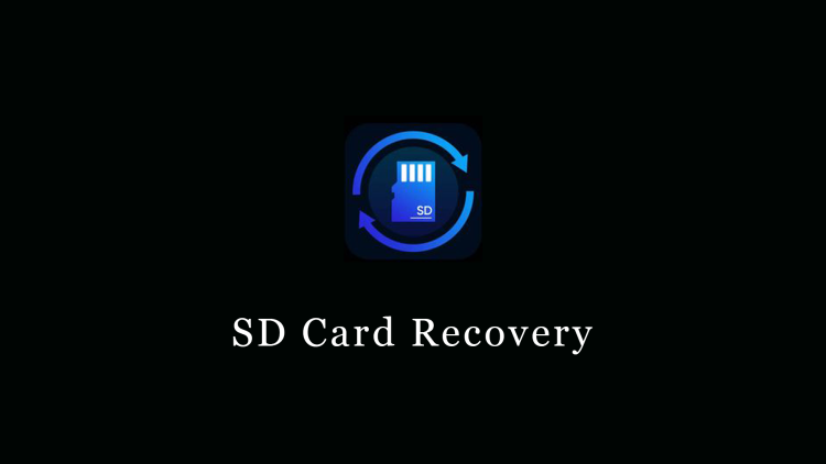 SD Card Recovery