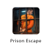 Prison Escape