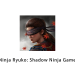 Ninja Ryuko: Shadow Ninja Game