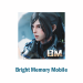 Bright Memory Mobile